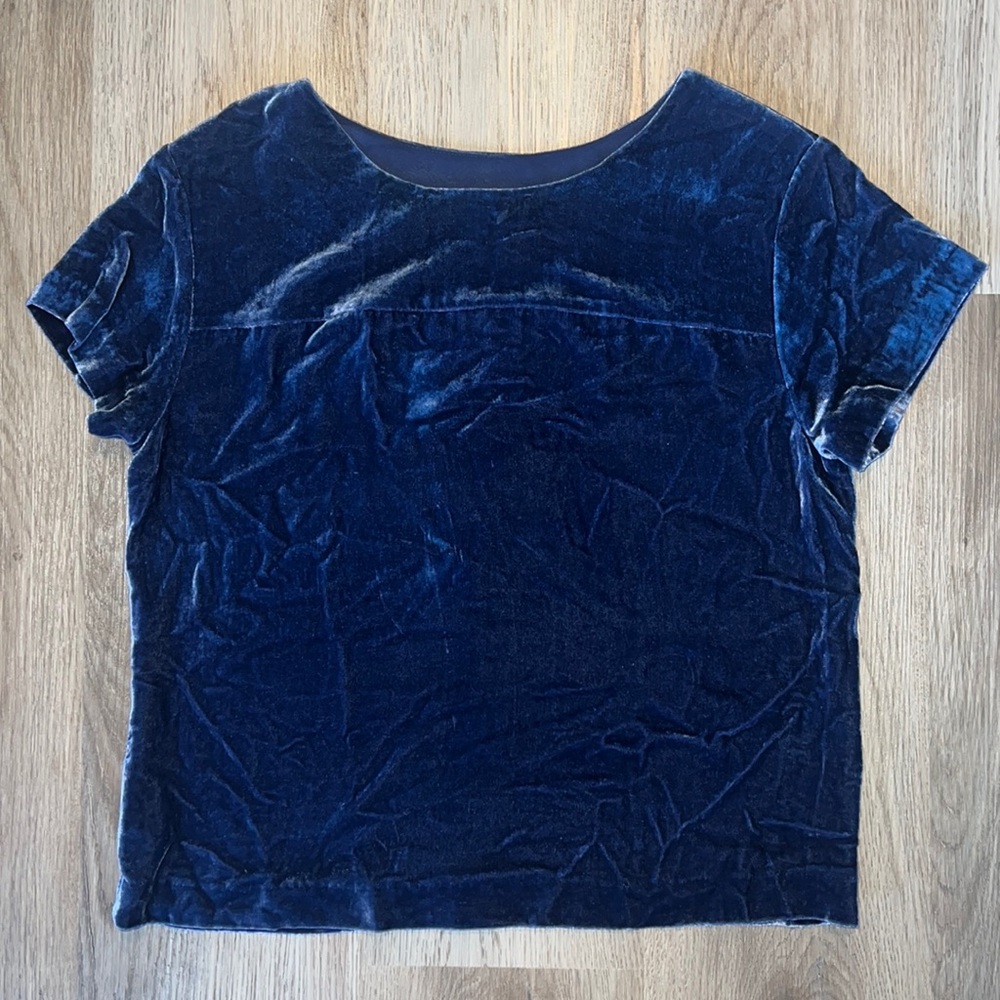 J Crew Crushed Velvet Top
